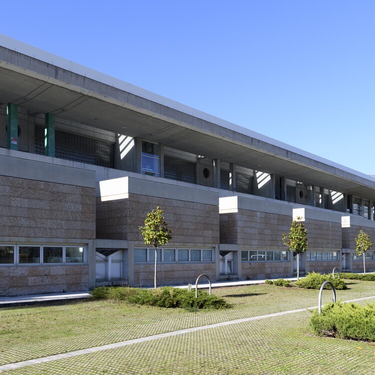 Archivio Polo Veronesi