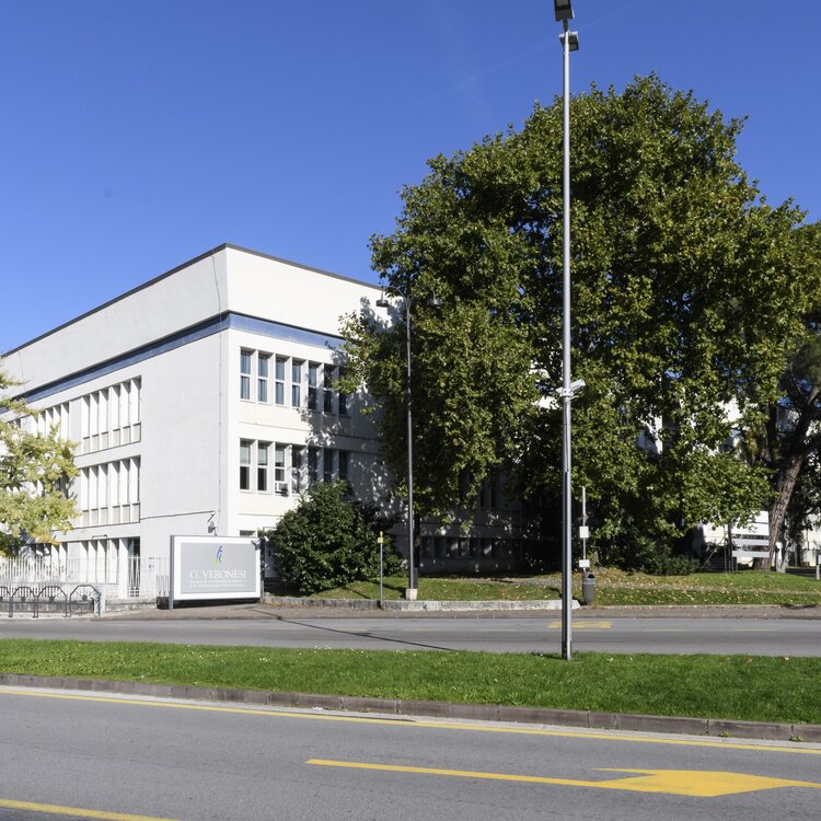 Archivio Polo Veronesi