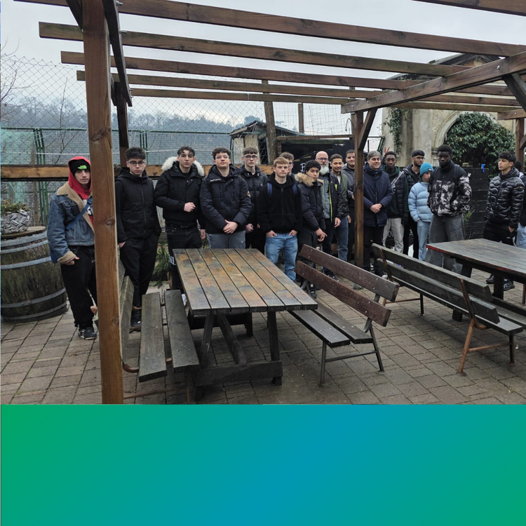 Archivio Polo Veronesi