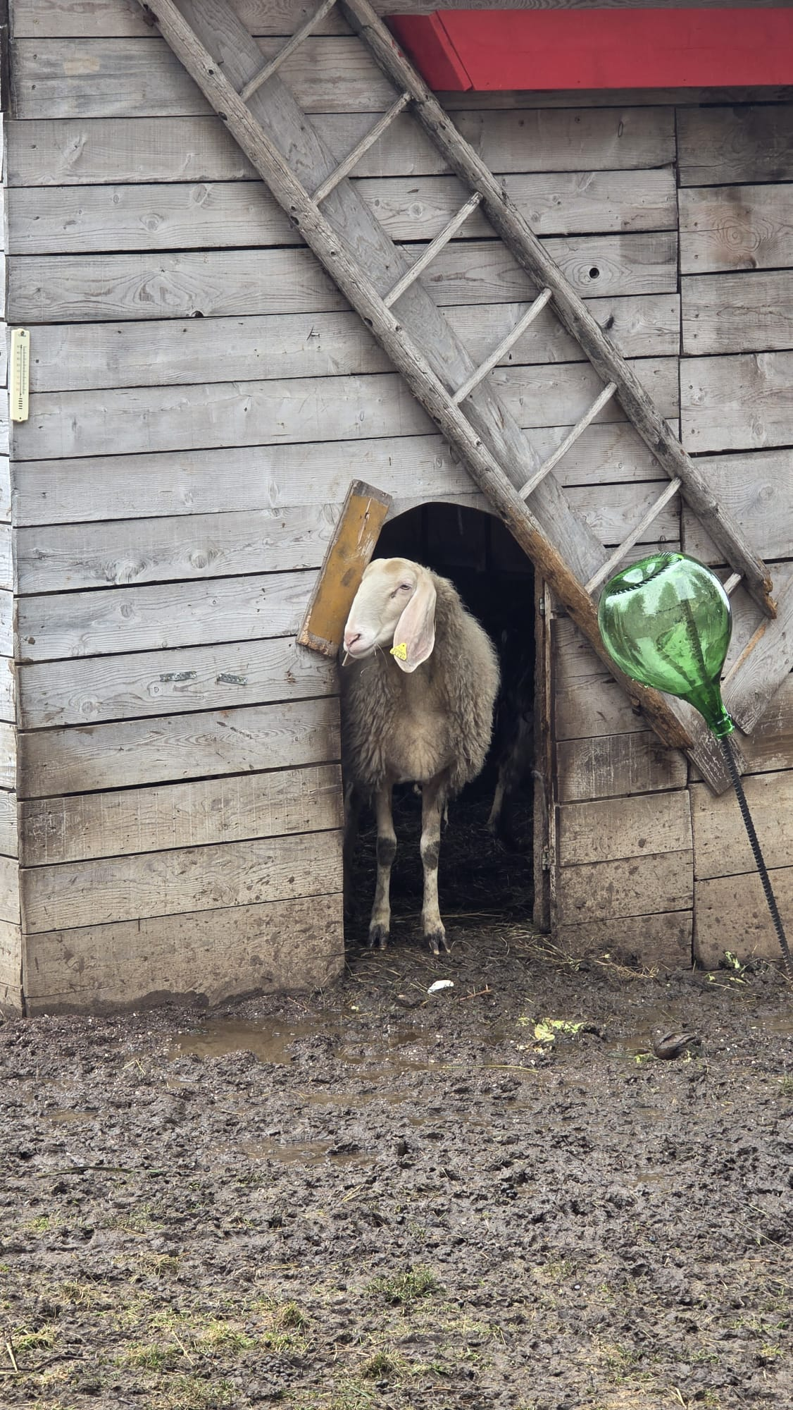 Archivio Polo Veronesi