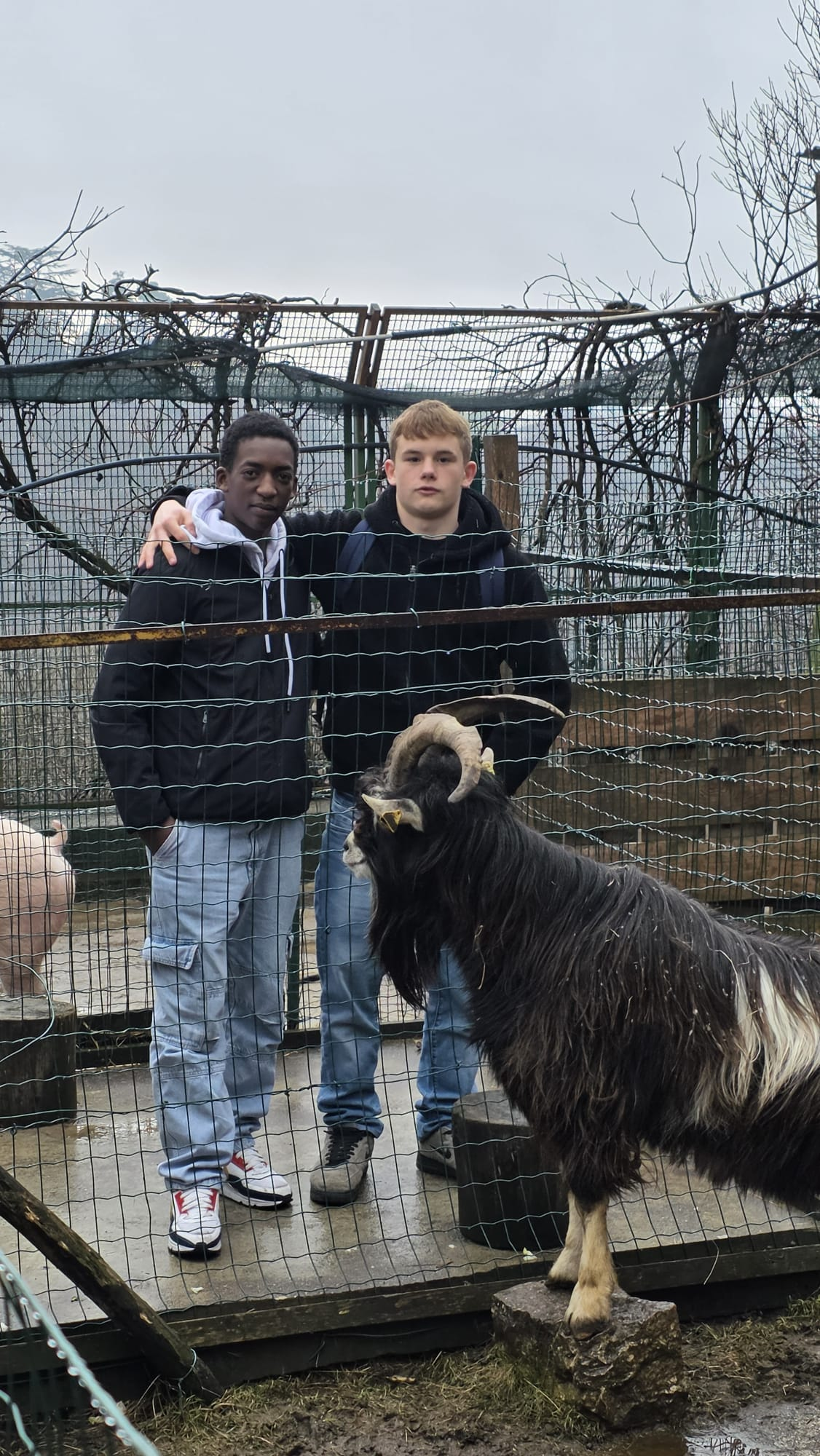 Archivio Polo Veronesi