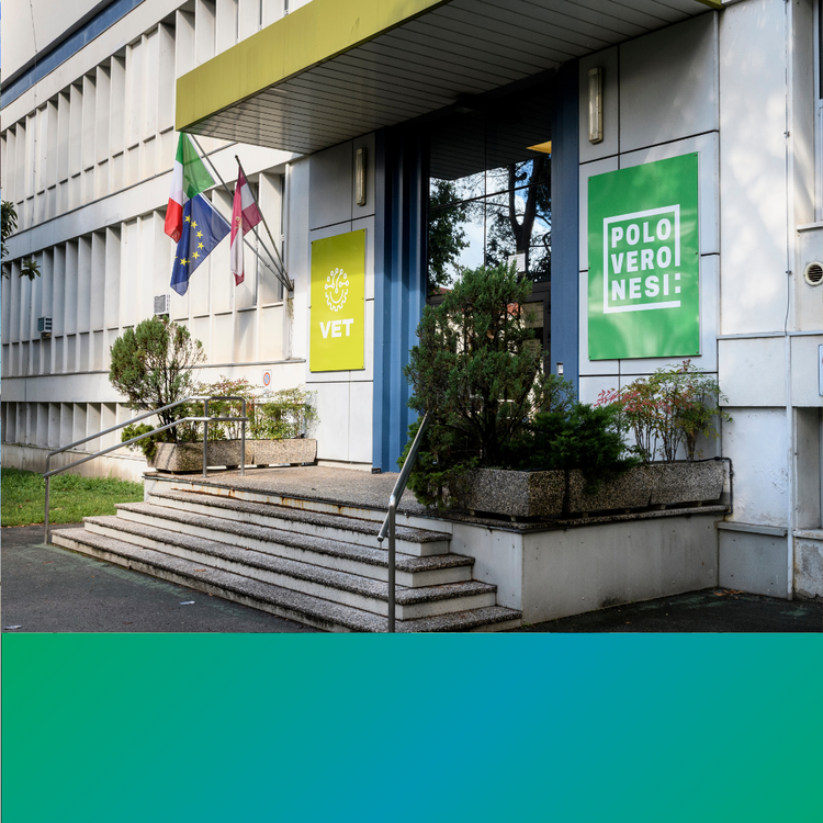 Archivio Polo Veronesi